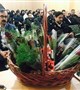 گرامیداشت ولادت حضرت زینب(س) وبرگزاری جشن روز پرستار در بیمارستان قائم(عج) بردسیر