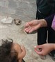 آغاز مرحله دوم واکسیناسیون تکمیلی فلج اطفال در شهرستان بردسیر: